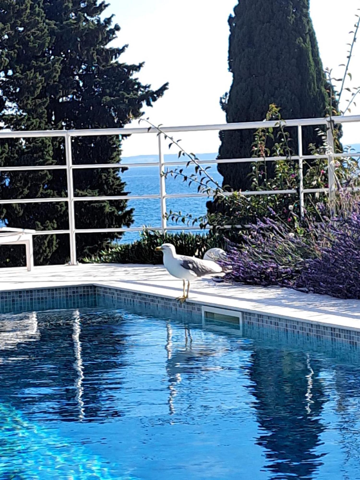 Apartment With Private Pool Split Exteriér fotografie